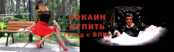 спиды Бородино