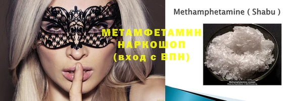 прущие грибы Бронницы