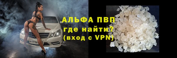 спиды Бородино