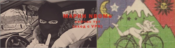 стаф Белокуриха