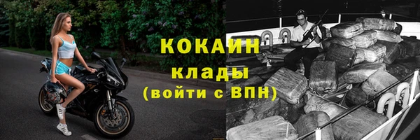 спиды Бородино