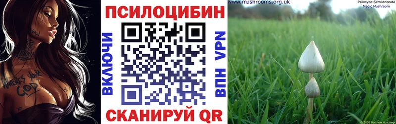 Галлюциногенные грибы прущие грибы  магазин  наркотиков  Обь 