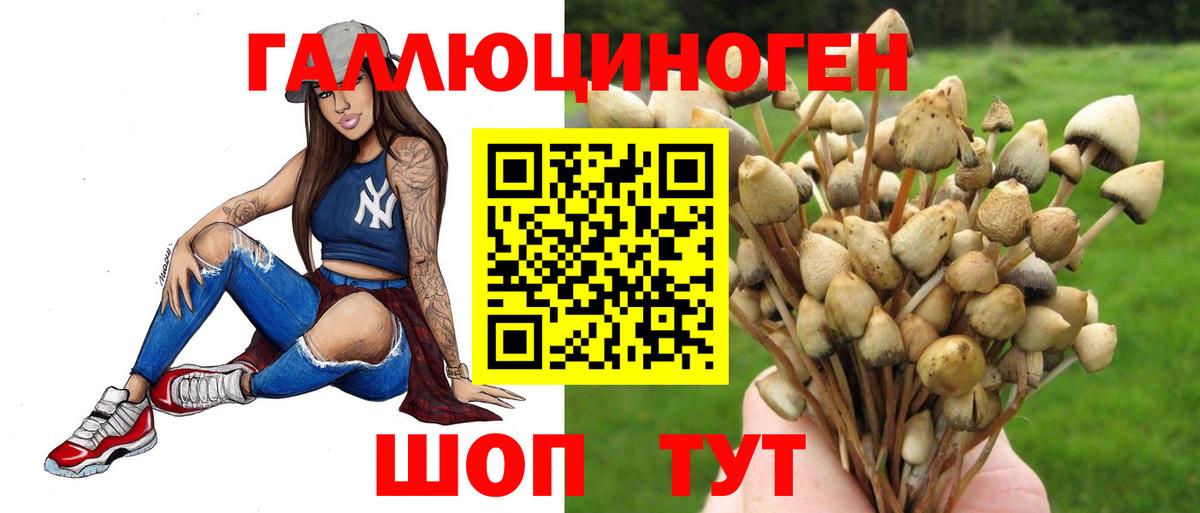 Галлюциногенные грибы ЛСД Обь